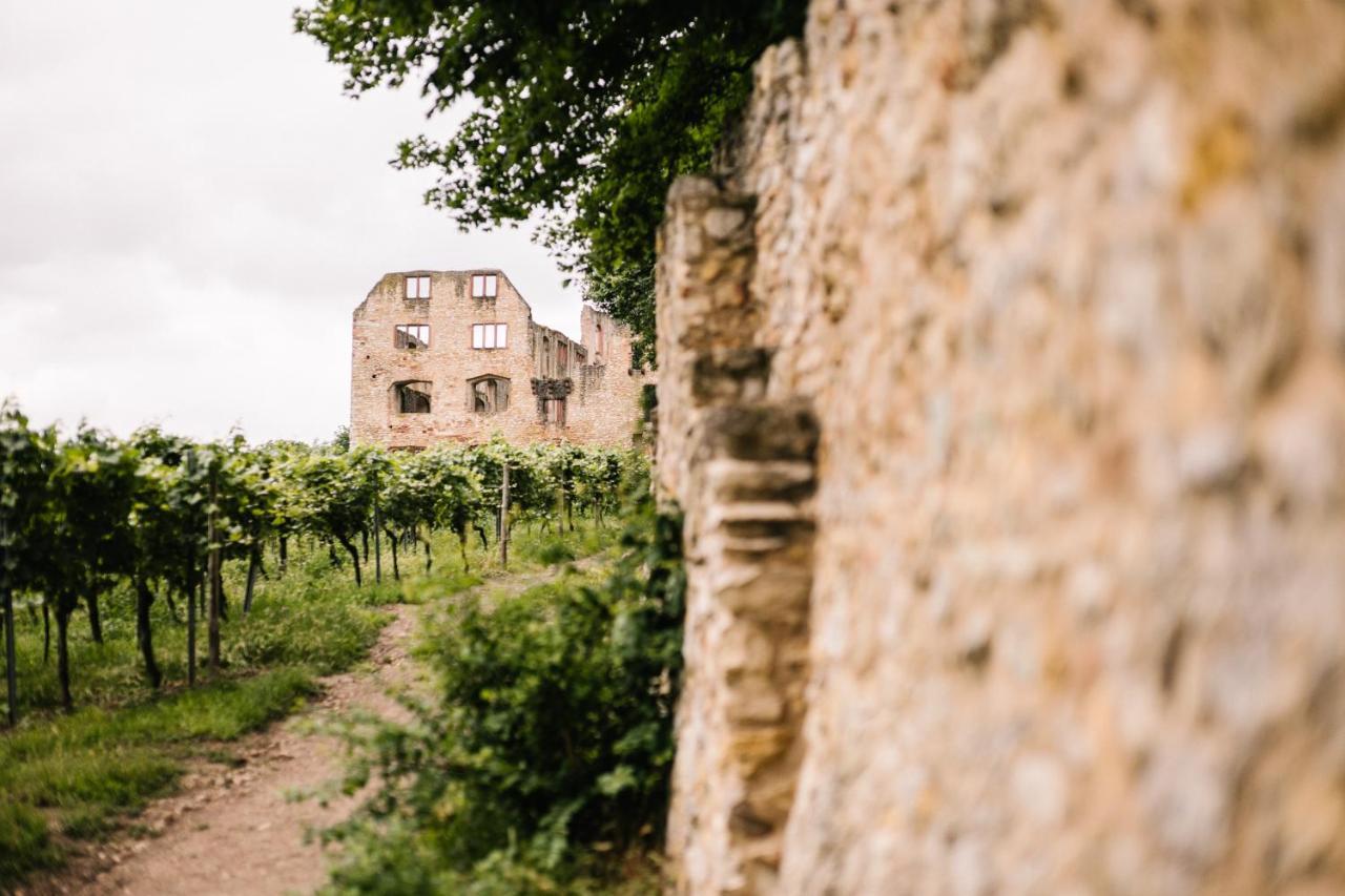 Weinzuhause Hotel-Restaurant-Vinothek Mommenheim المظهر الخارجي الصورة